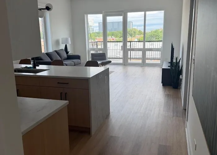 Apartment Spacious 2br Steps From Uic Rush Stroger Hospital And Restaurant Row Chicago